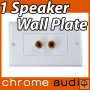 1 Speaker Banana Socket Wall Plate