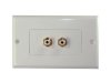 2 RCA Stereo Wall Plate